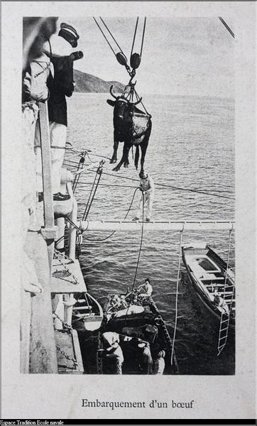 Embarquement_boeuf (Copier)