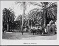 LasPalmas (Copier)