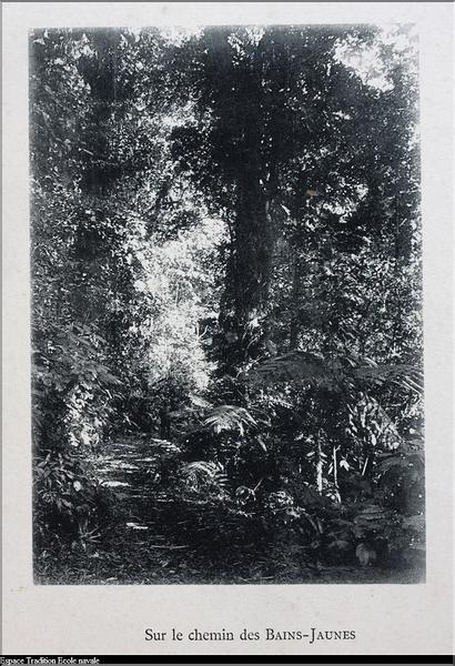 Antilles (Copier)