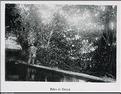 Guadeloupe (Copier)
