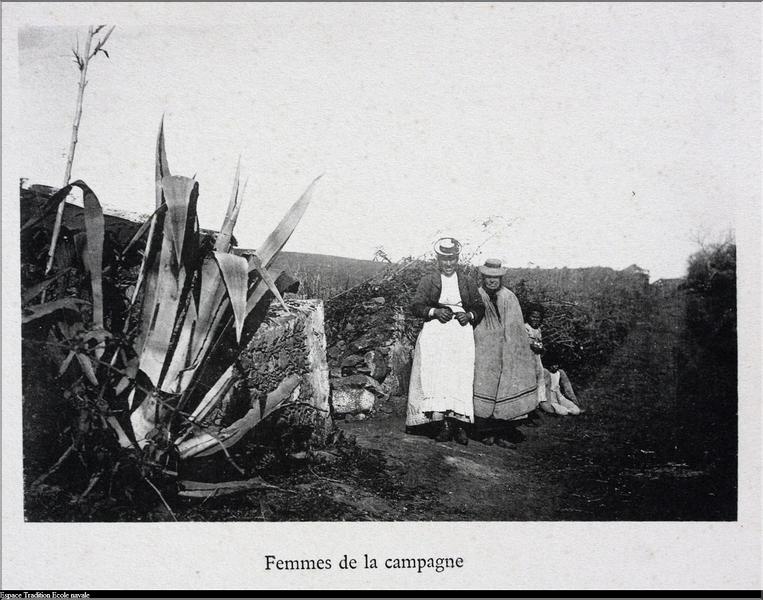 Teneriffe (Copier)