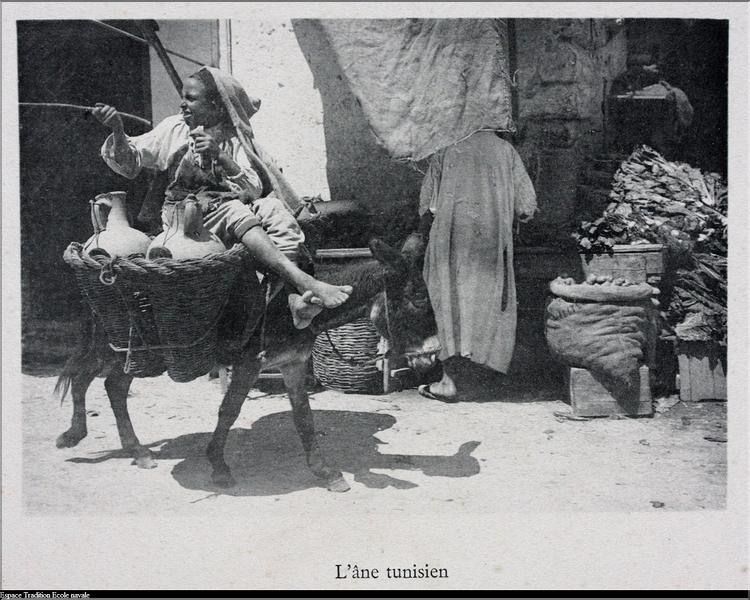 Bizerte (Copier)